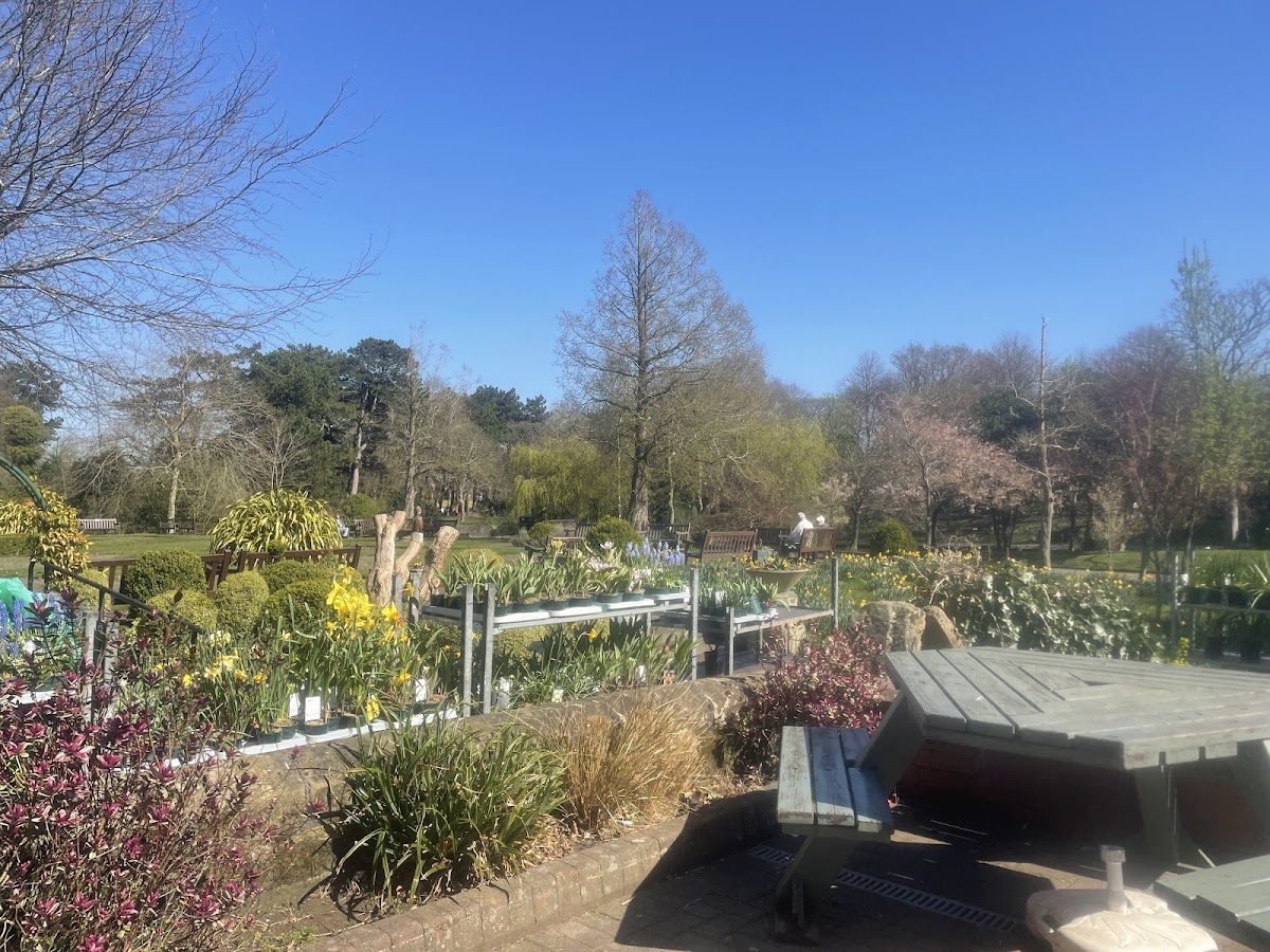 Botanic Gardens Cafe Photos 2